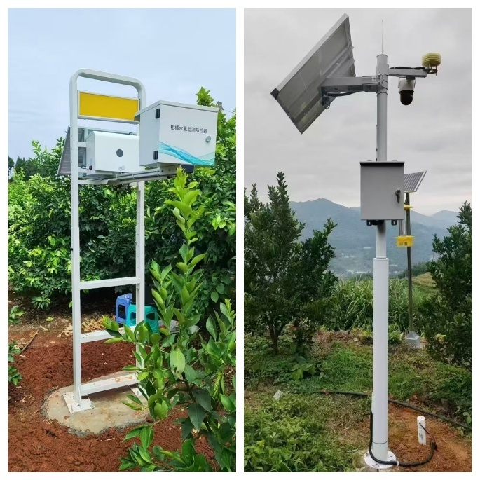 Solar-powered CCTV Systems for Orchard Monitoring