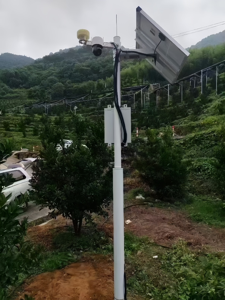 Solar-powered PTZ camera pole with weather sensors monitoring a hillside orchard block