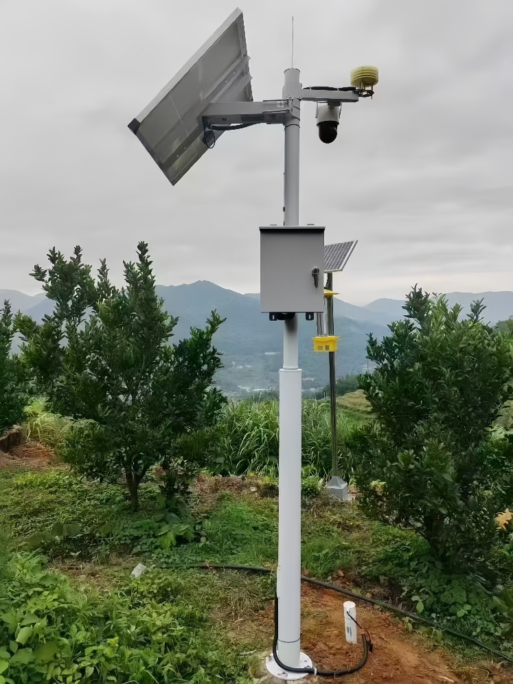 Control cabinet with LiFePO4 battery, MPPT controller, and weather sensors powering an orchard solar CCTV system