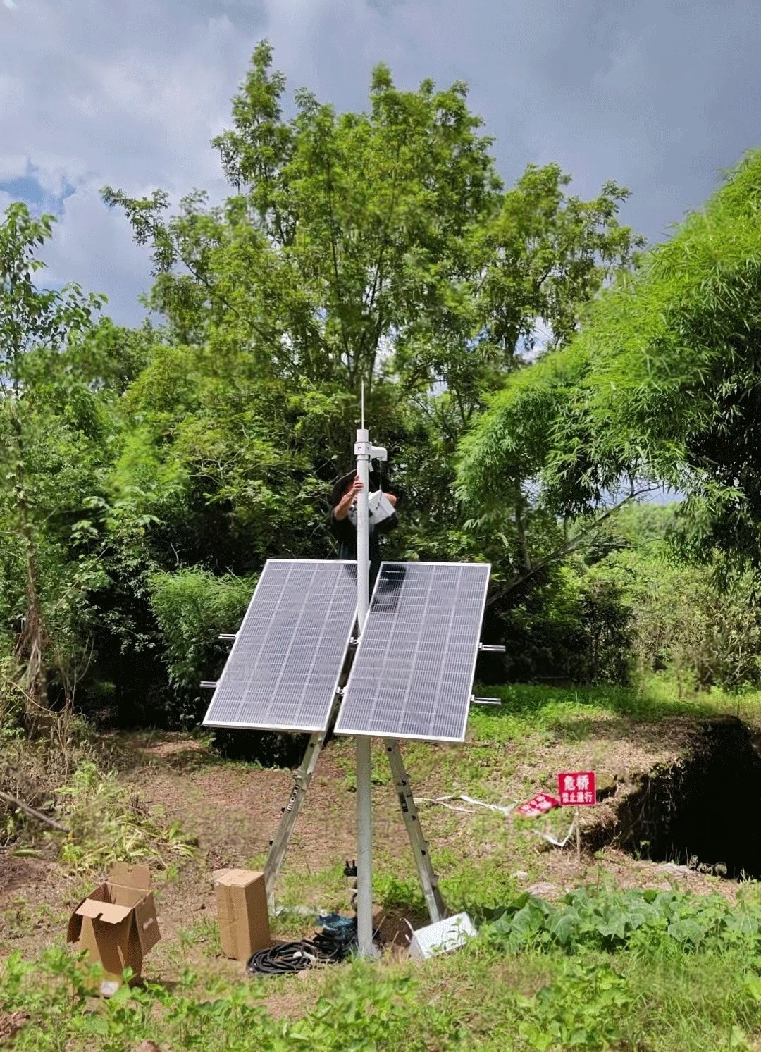 An off-grid solar CCTV system installed in a forest environment ensures 24/7 monitoring for environmental protection and security, powered by renewable solar energy