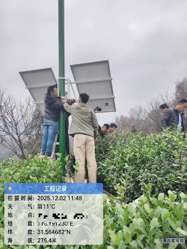 Off-grid solar power system operating in humid tea plantation conditions to ensure stable monitoring in Lu'an, Anhui, China